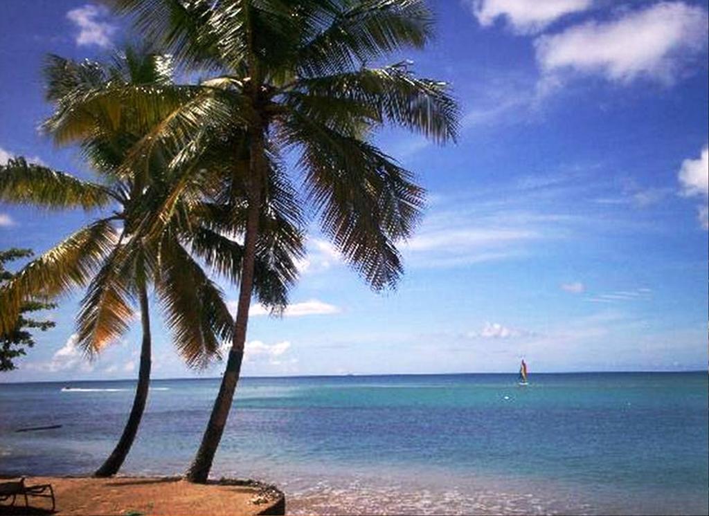 East Winds St. Lucia Otel Gros Islet Dış mekan fotoğraf