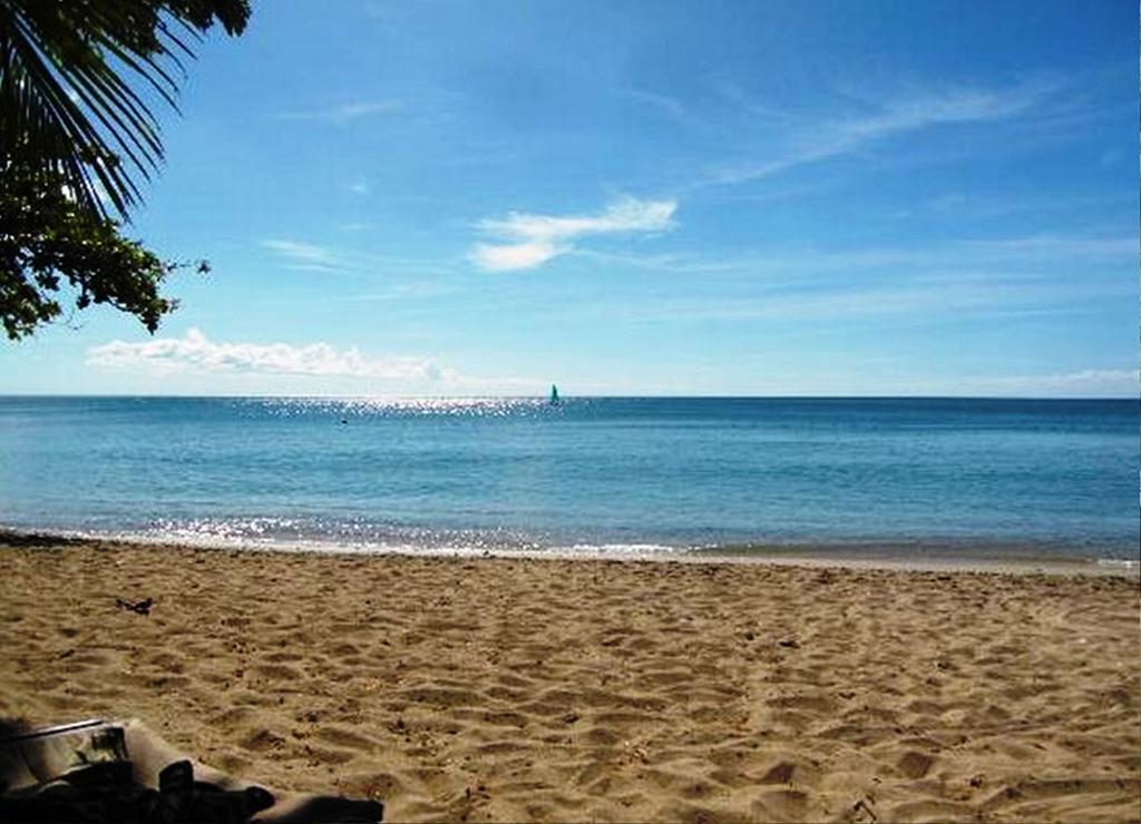 East Winds St. Lucia Otel Gros Islet Dış mekan fotoğraf