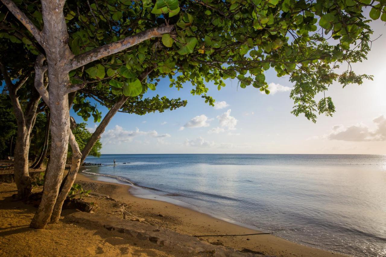 East Winds St. Lucia Otel Gros Islet Dış mekan fotoğraf
