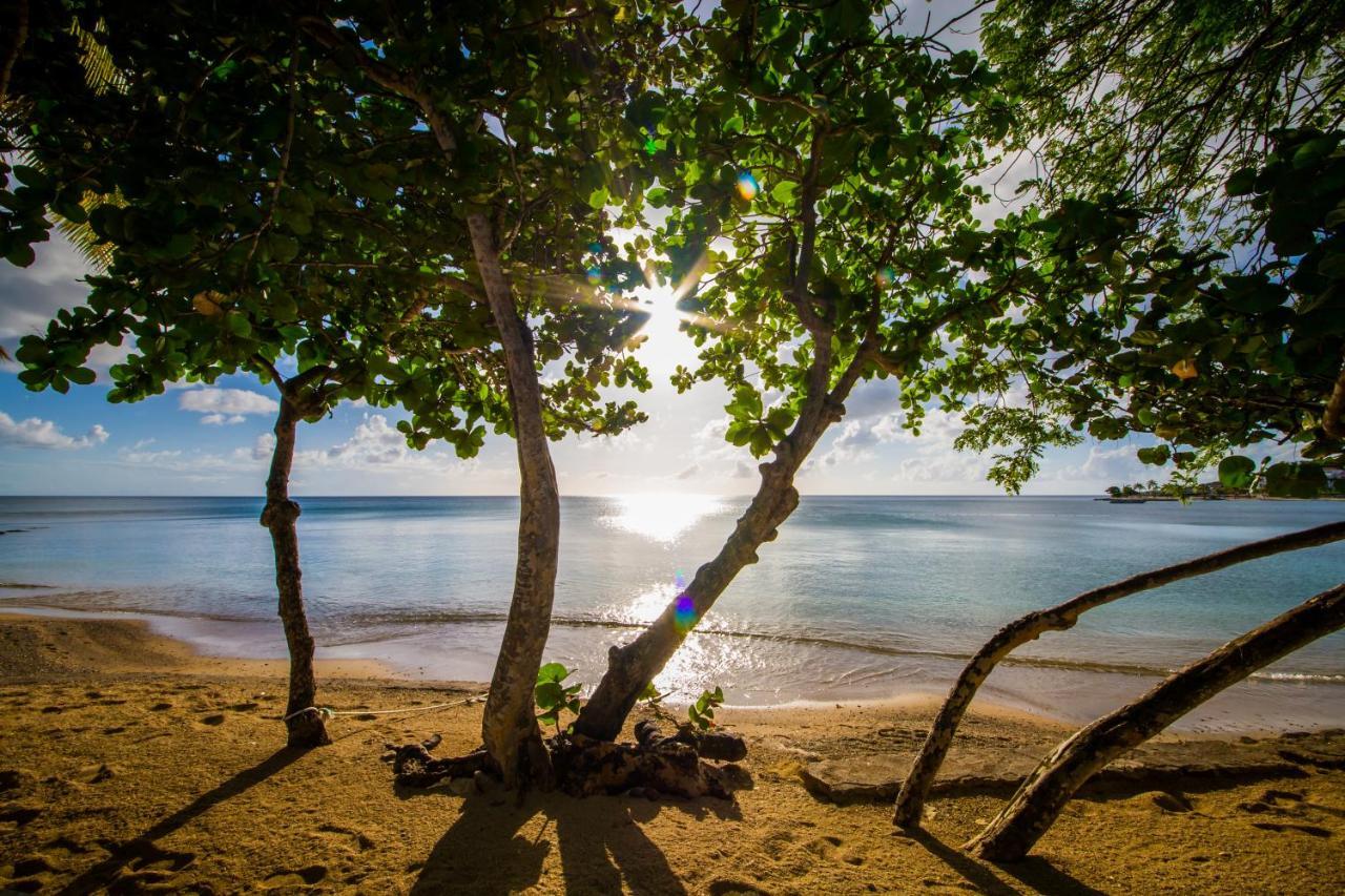 East Winds St. Lucia Otel Gros Islet Dış mekan fotoğraf