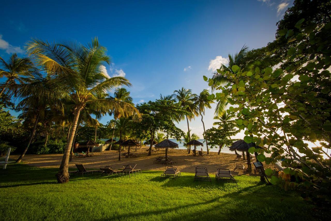 East Winds St. Lucia Otel Gros Islet Dış mekan fotoğraf